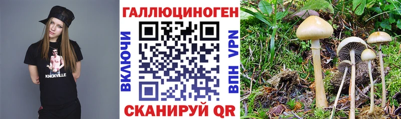 Псилоцибиновые грибы GOLDEN TEACHER Учалы